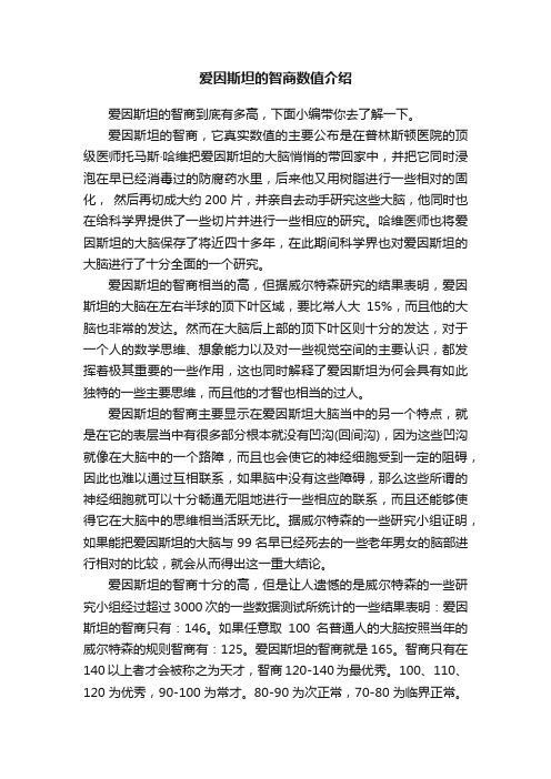 爱因斯坦的智商数值介绍