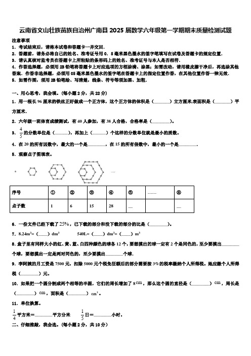 云南省文山壮族苗族自治州广南县2025届数学六年级第一学期期末质量检测试题含解析