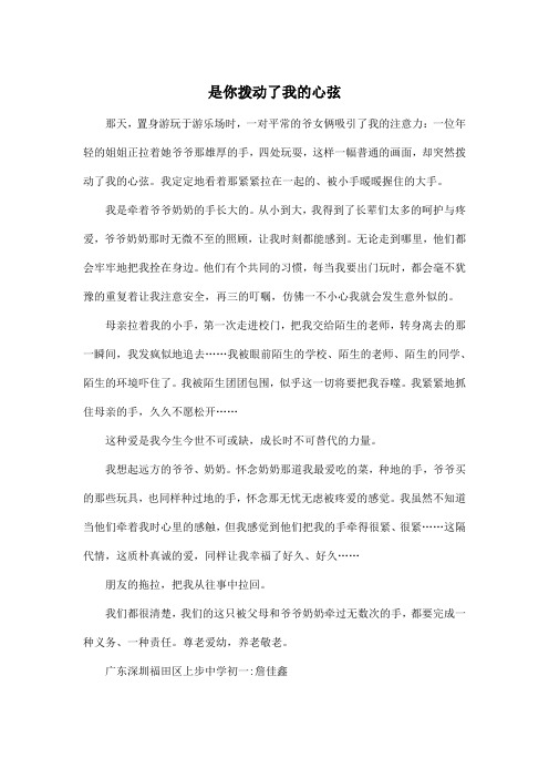 是你拨动了我的心弦_初中初一作文600字