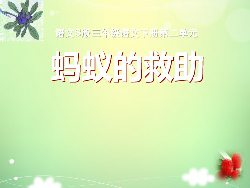 《蚂蚁的救助》3 精选优质课件