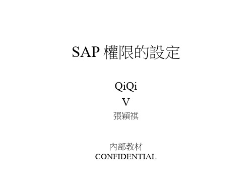 sap 权限的设定资料讲解