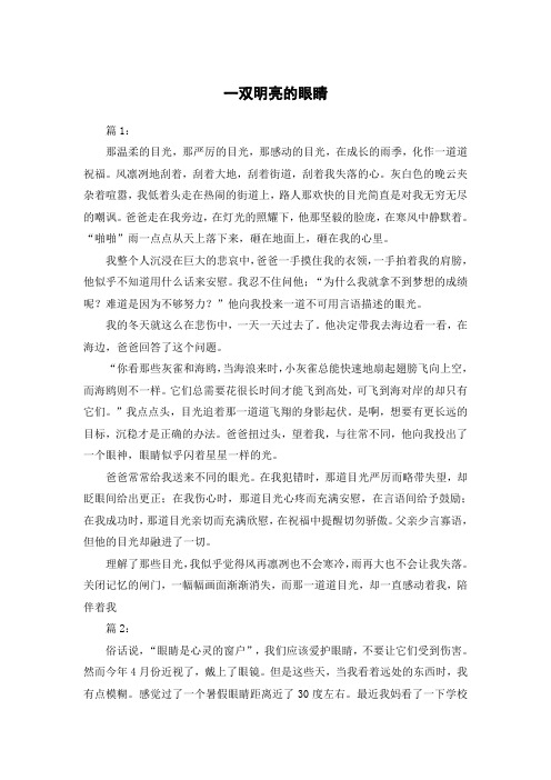 一双明亮的眼睛不少于400字的作文