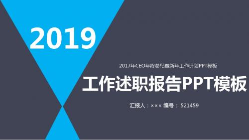 2017年CEO年终总结暨新年工作计划PPT模板