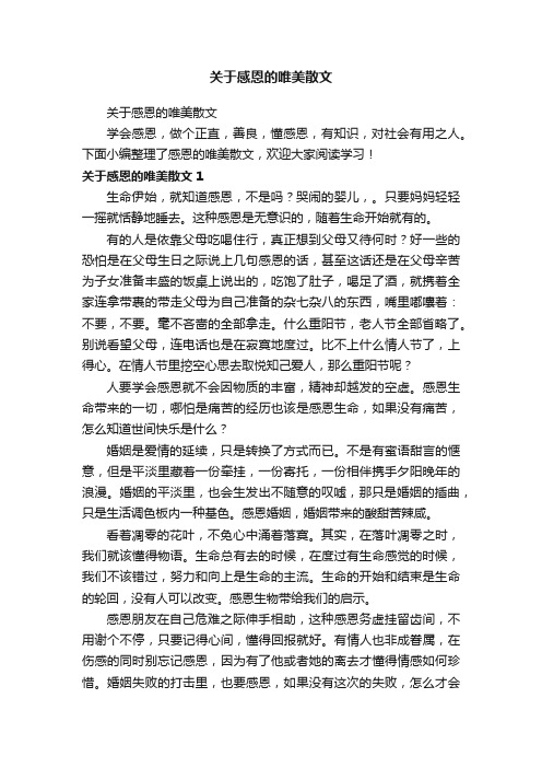 关于感恩的唯美散文