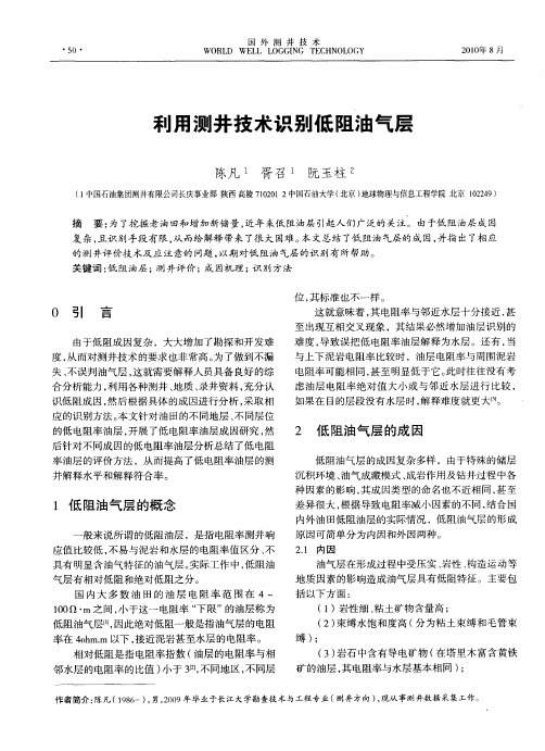 利用测井技术识别低阻油气层