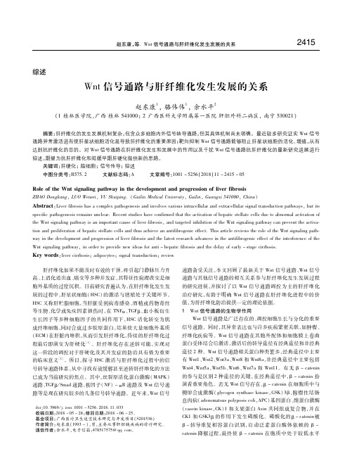 Wnt信号通路与肝纤维化发生发展的关系