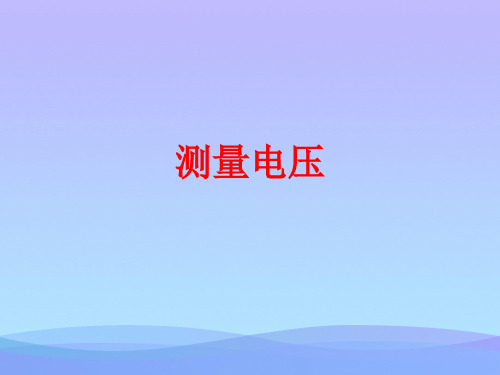 测量电压ppt5 沪科版2优秀课件