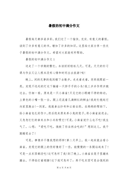 暑假的初中满分作文