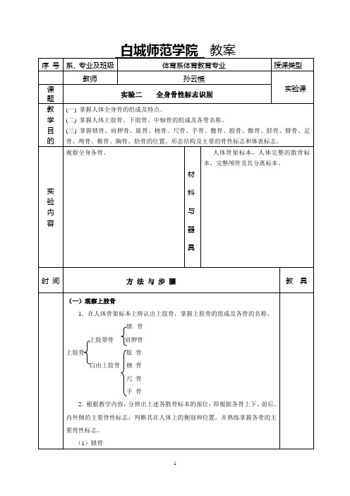 全身骨性标志识别-白城师范学院