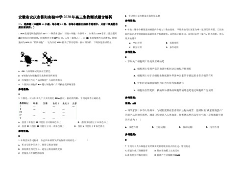 安徽省安庆市枞阳实验中学2020年高三生物测试题含解析