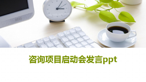 咨询项目启动会发言ppt