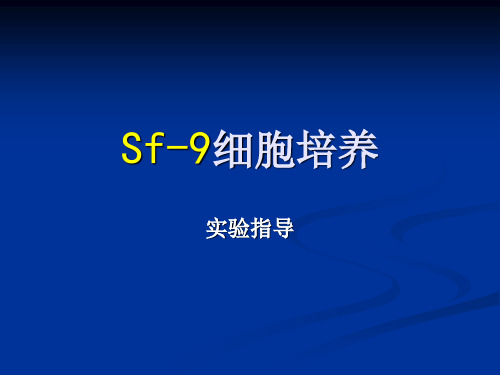 sf-9细胞培养2