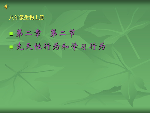 生物人教版八年级(上册)先天性行为和学习行为(1)(2024版新教材)