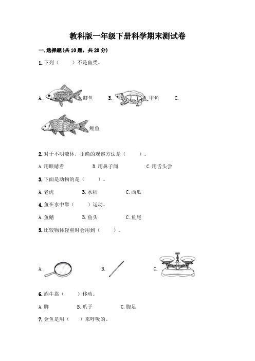 教科版一年级下册科学期末测试卷及参考答案(完整版)