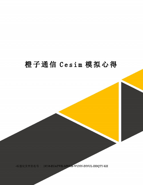 橙子通信Cesim模拟心得