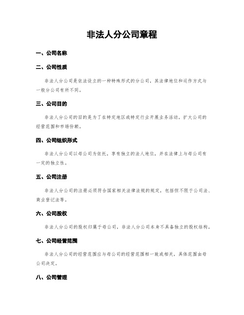 非法人分公司章程