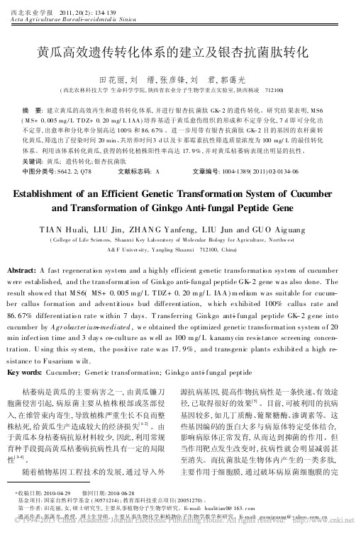 黄瓜高效遗传转化体系的建立及银杏抗菌肽转化_田花丽