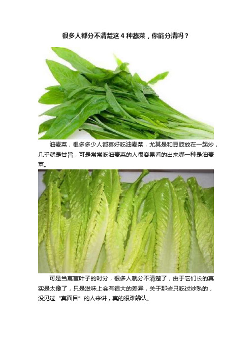 很多人都分不清楚这4种蔬菜，你能分清吗？