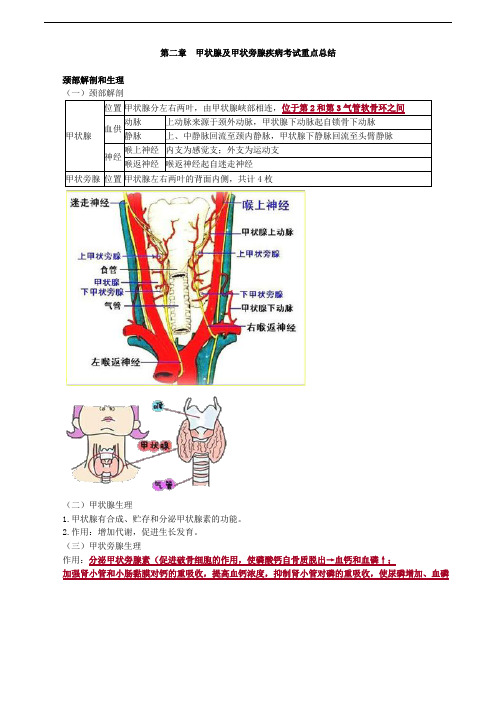 第二章 甲状腺及甲状旁腺疾病考试重点总结