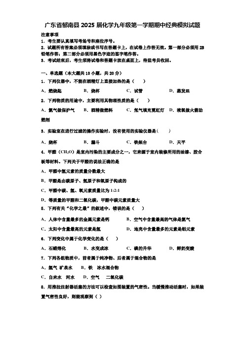 广东省郁南县2025届化学九年级第一学期期中经典模拟试题含解析