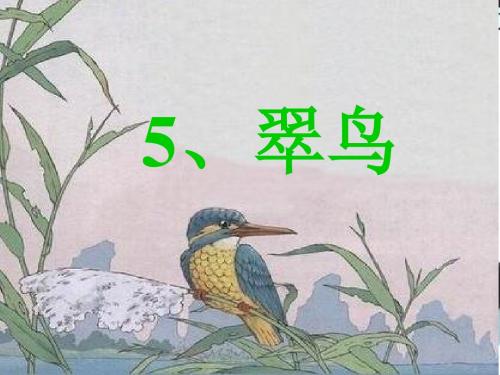 三年级语文下册5翠鸟