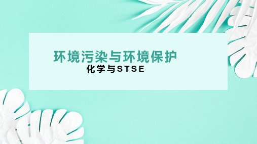 化学与STST--环境污染与环境保护课件高一下学期化学人教版(2019)必修第二册