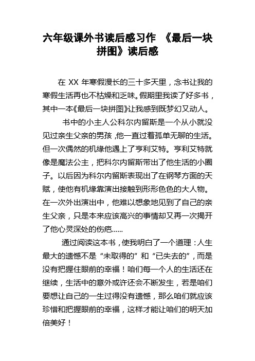 六年级课外书读后感习作最后一块拼图读后感