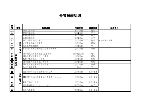 外管局报表明细