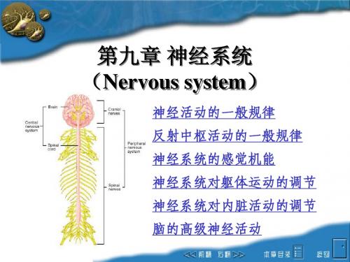 【生理】第9章 神经生理