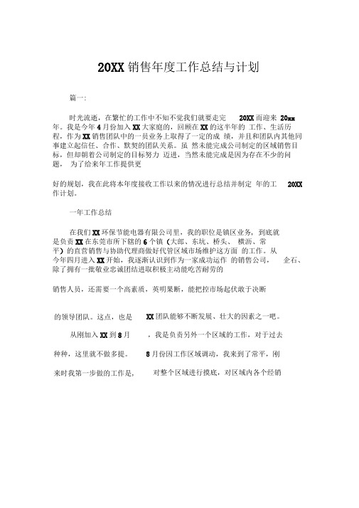 2019年销售年度工作总结与计划范文
