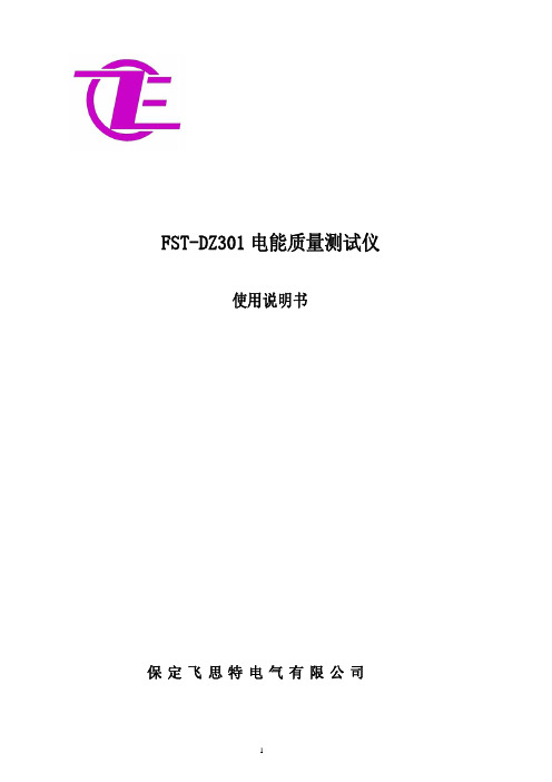FST-DZ301电能质量测试仪
