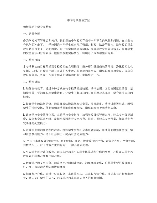 中学专项整治方案