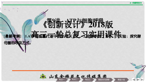 高考生物一轮复习 第三单元 细胞的能量供应和利用 第9讲 ATP与细胞呼吸课件