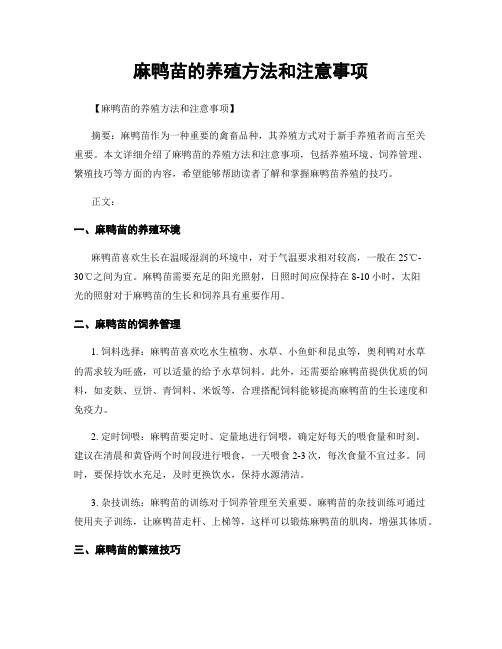 麻鸭苗的养殖方法和注意事项