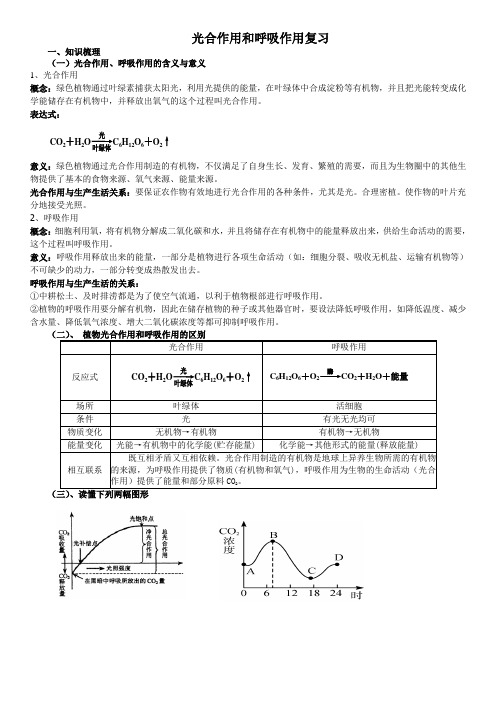 光合作用和呼吸作用复习