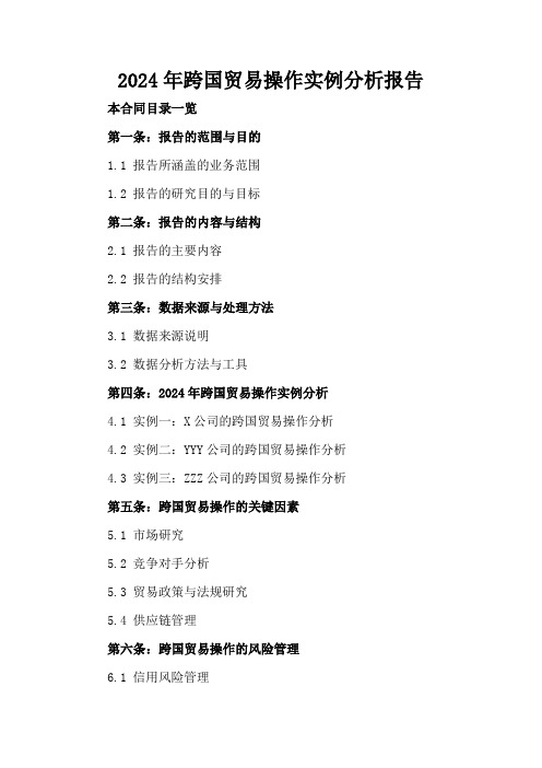 2024年跨国贸易操作实例分析报告