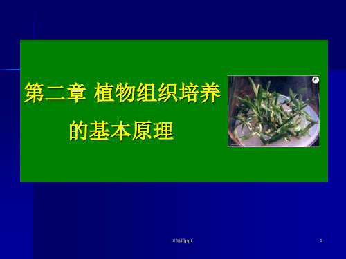 植物组织培养具体原理