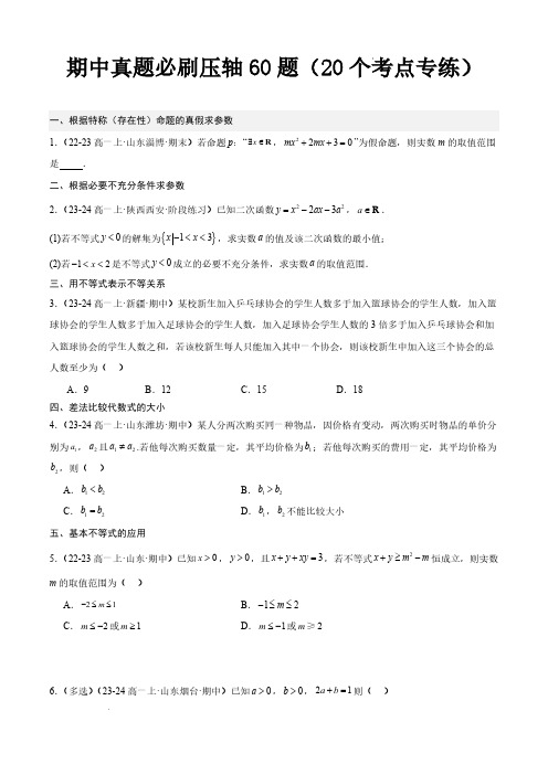 期中真题必刷压轴60题(20个考点专练)(原卷版)-24-25学年高一数学上学期期中必刷压轴题专练