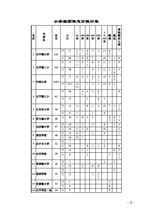 小学组团体总分统计表