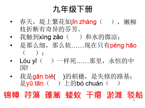 部编人教版语文九年级下册字词复习课件