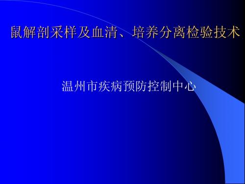 5、鼠解剖采样及血清、培养分离检验