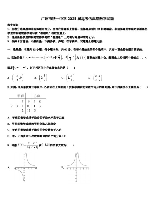 广州市铁一中学2025届高考仿真卷数学试题含解析