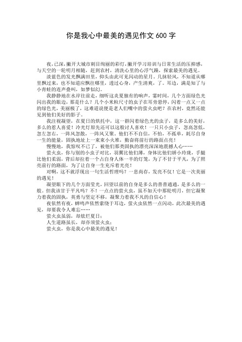 你是我心中最美的遇见作文600字