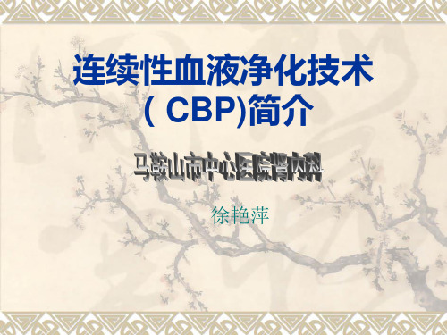 连续性血液净化技术(CBP)简介