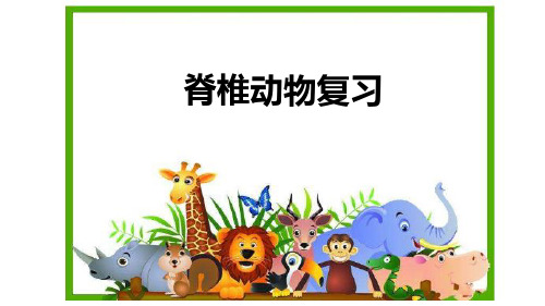 初中生物 脊椎动物 复习