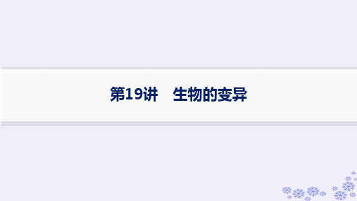 浙江专版2025届高考生物一轮总复习第6单元生物的变异与进化第19讲生物的变异课件浙科版