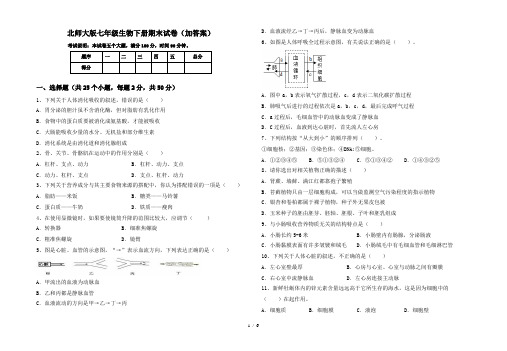 北师大版七年级生物下册期末试卷(加答案)