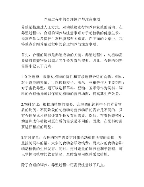 养殖过程中的合理饲养与注意事项