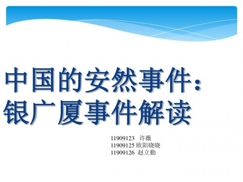 中国公司治理案例分析--银广夏事件86918 共51页PPT资料