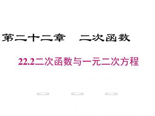 人教版(贵州专用)九年级数学上册(课件)22.2 二次函数